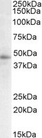 EB05074 1